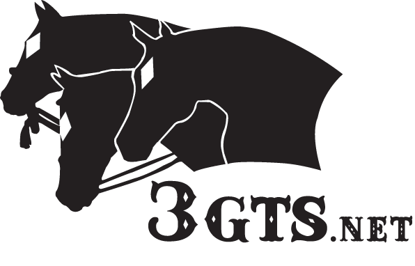 3 Gems Tack & Stables